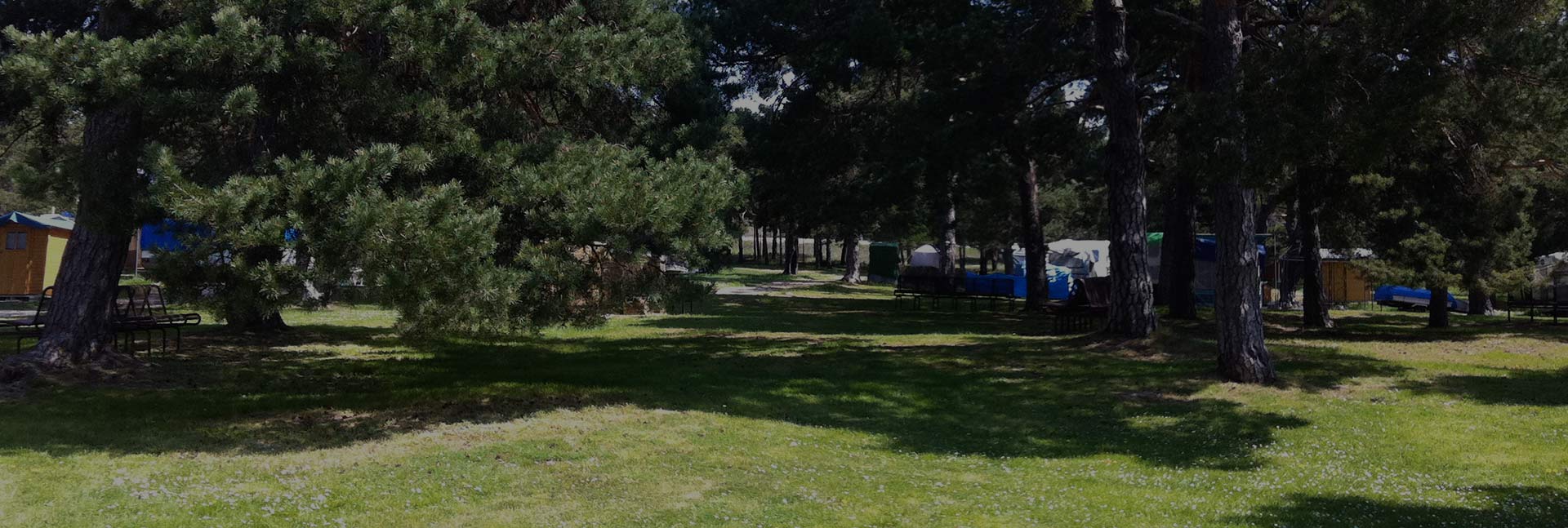 Acampada