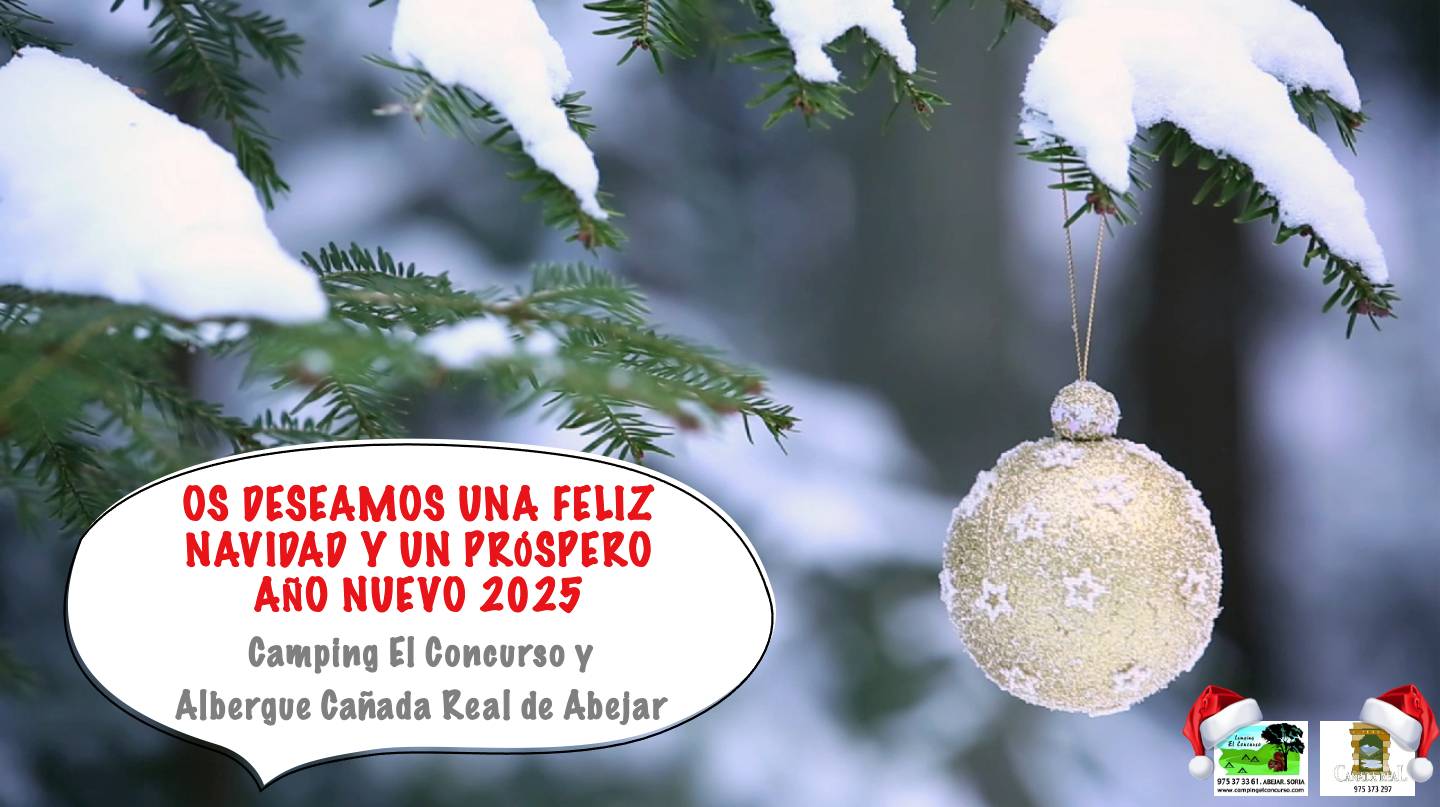 felicitacion navidad 2024 felicitacion navidad 2024